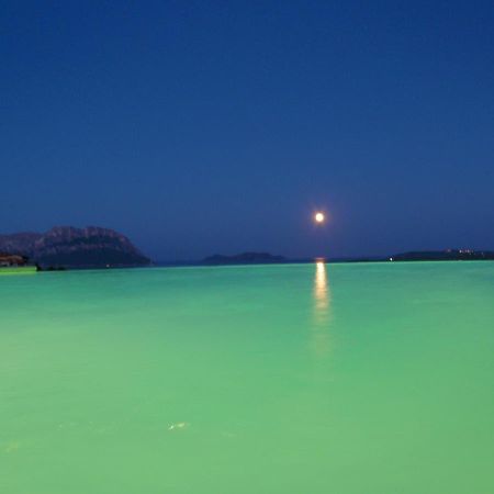 Villa And Pool Tavolara View Porto Istana Exteriör bild