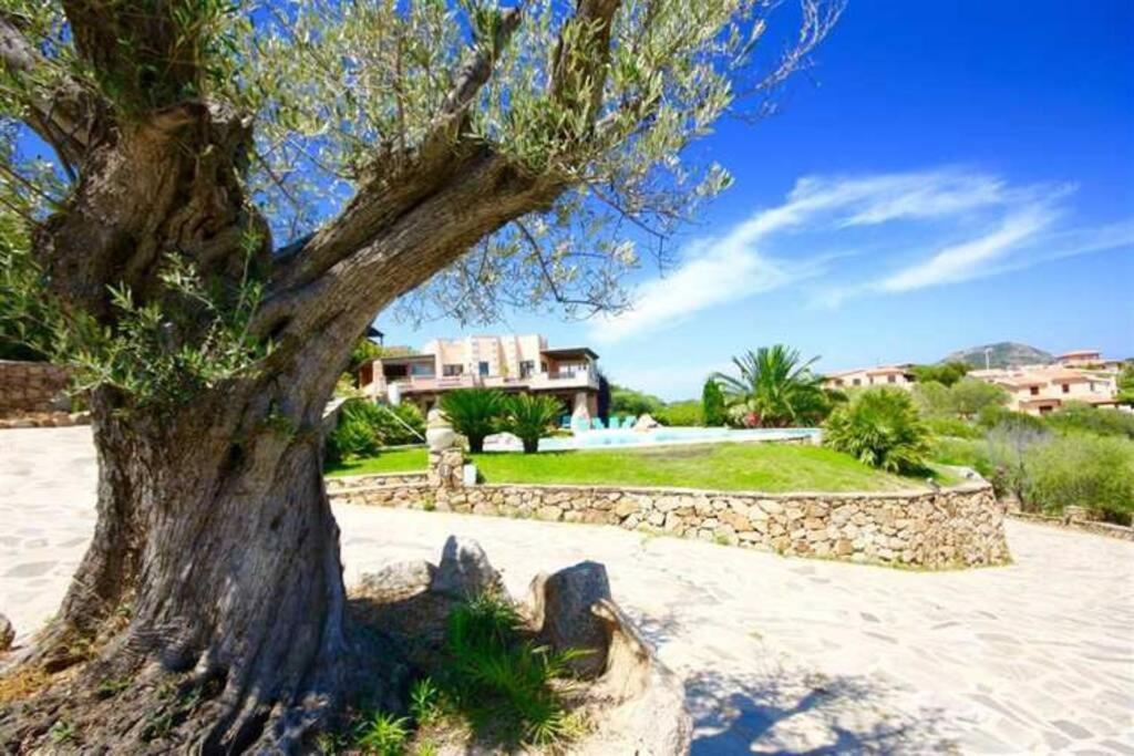 Villa And Pool Tavolara View Porto Istana Exteriör bild